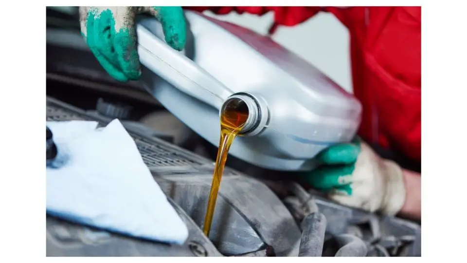 Comparing schaeffer and amsoil engine oil