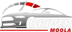 Driver Moola Logo