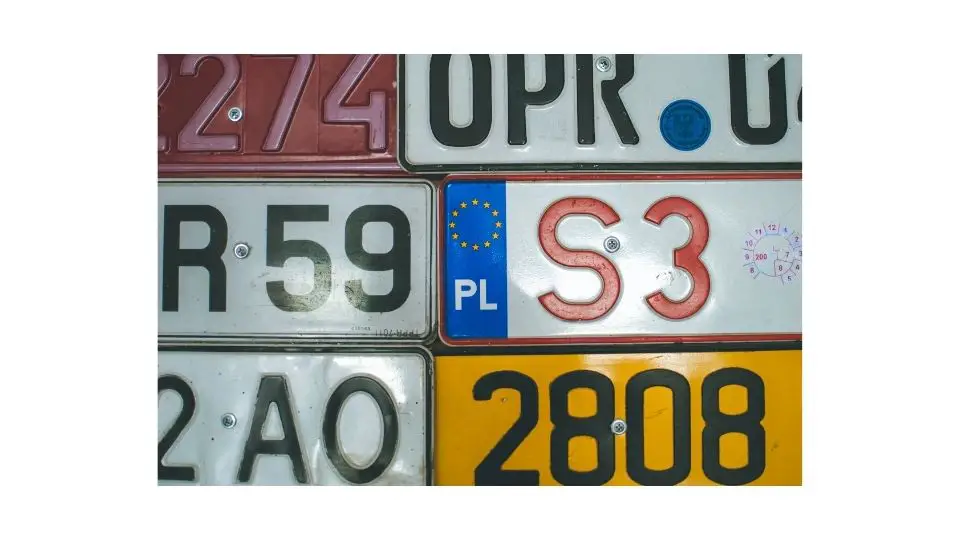 license plate screw size